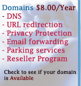 Book your domain name today